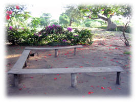 outdoor_classroom